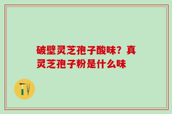 破壁灵芝孢子酸味？真灵芝孢子粉是什么味