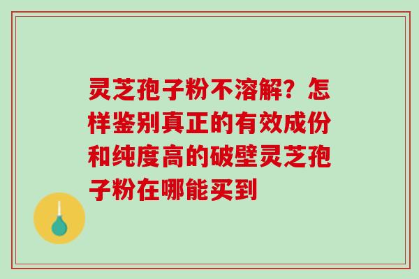 灵芝孢子粉不溶解？怎样鉴别真正的有效成份和纯度高的破壁灵芝孢子粉在哪能买到