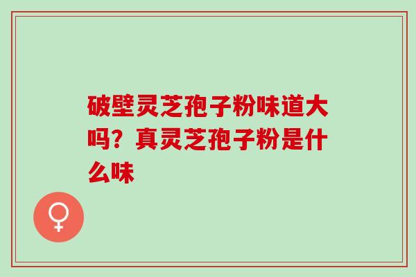 破壁灵芝孢子粉味道大吗？真灵芝孢子粉是什么味