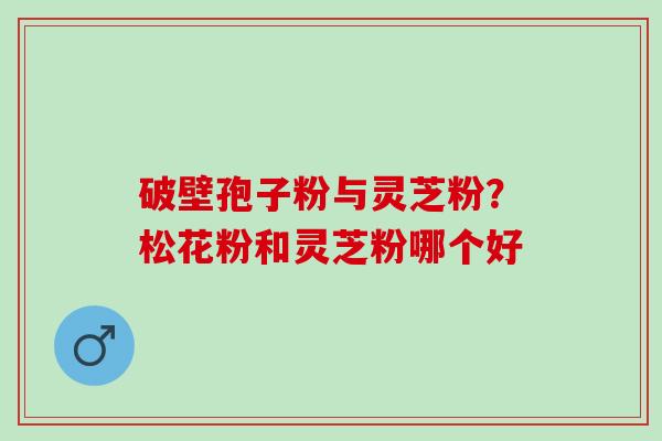 破壁孢子粉与灵芝粉?松花粉和灵芝粉哪个好 破壁孢子粉与灵芝粉?松花粉和灵芝粉哪个好