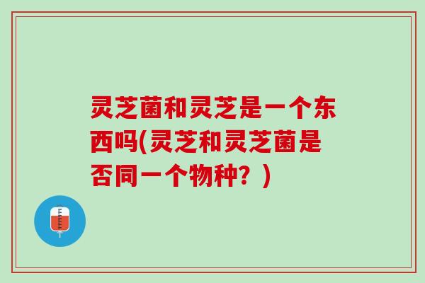 灵芝菌和灵芝是一个东西吗(灵芝和灵芝菌是否同一个物种？)
