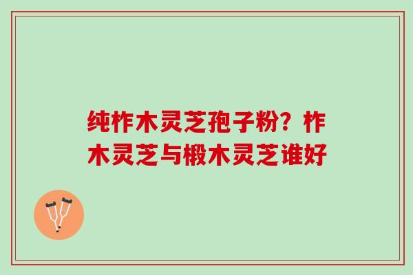 纯柞木灵芝孢子粉？柞木灵芝与椴木灵芝谁好