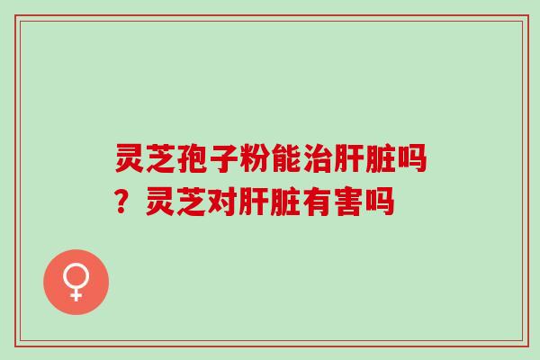 灵芝孢子粉能治肝脏吗？灵芝对肝脏有害吗