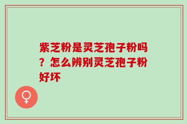 紫芝粉是灵芝孢子粉吗？怎么辨别灵芝孢子粉好坏