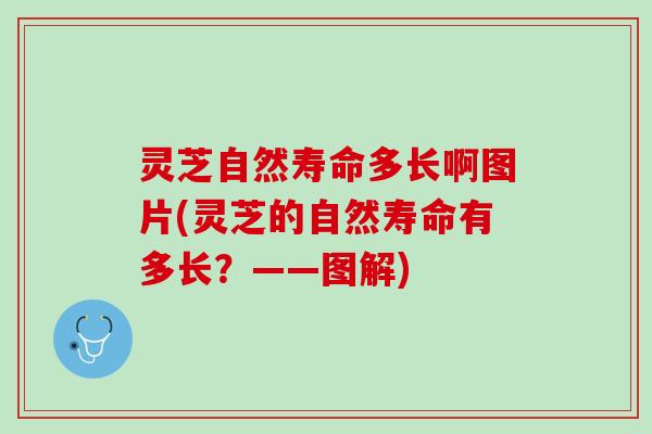 灵芝自然寿命多长啊图片(灵芝的自然寿命有多长？——图解)