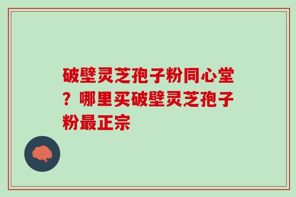 破壁灵芝孢子粉同心堂？哪里买破壁灵芝孢子粉正宗