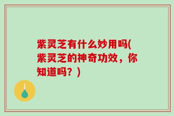 紫灵芝有什么妙用吗(紫灵芝的神奇功效，你知道吗？)
