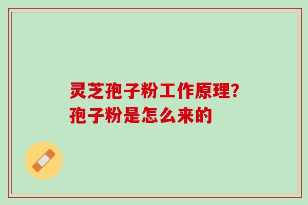 灵芝孢子粉工作原理？孢子粉是怎么来的
