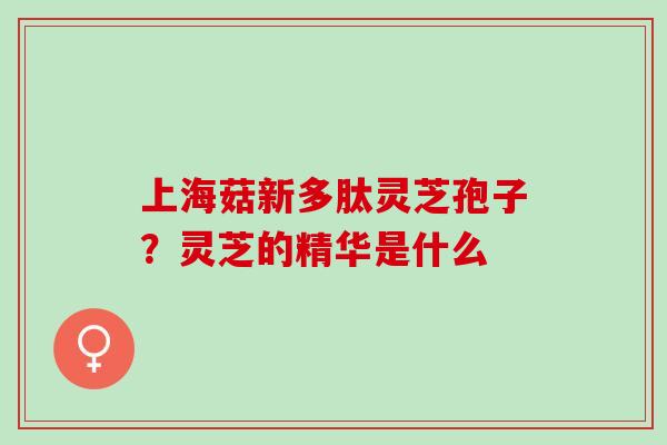 上海菇新多肽灵芝孢子？灵芝的精华是什么