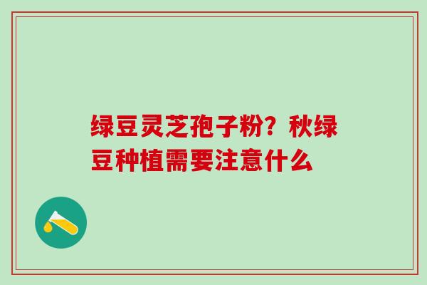 绿豆灵芝孢子粉？秋绿豆种植需要注意什么