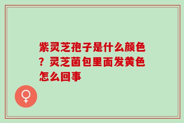 紫灵芝孢子是什么颜色？灵芝菌包里面发黄色怎么回事