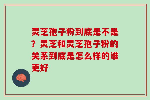 灵芝孢子粉到底是不是?灵芝和灵芝孢子粉的关系到底是怎么样的谁更好 灵芝孢子粉到底是不是?灵芝和灵芝孢子粉的关系到底是怎么样的谁更好