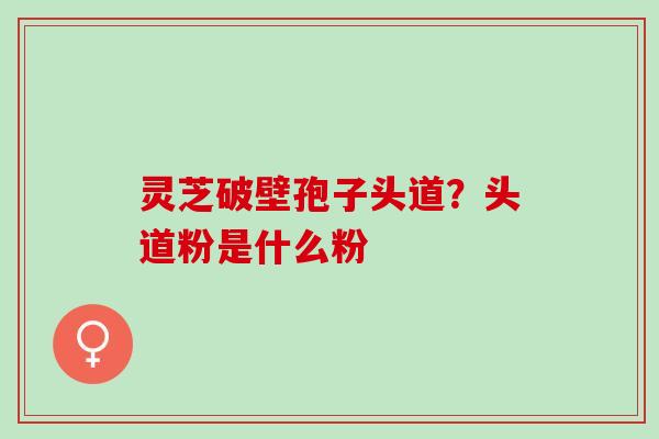 灵芝破壁孢子头道？头道粉是什么粉