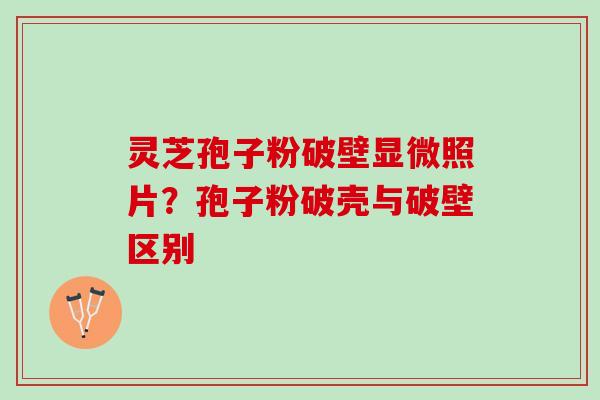灵芝孢子粉破壁显微照片？孢子粉破壳与破壁区别