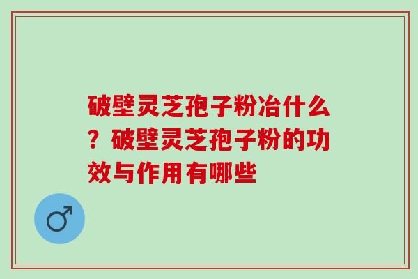 破壁灵芝孢子粉冶什么？破壁灵芝孢子粉的功效与作用有哪些