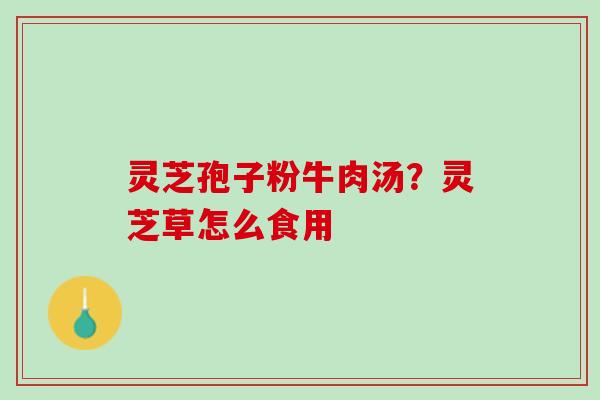 灵芝孢子粉牛肉汤？灵芝草怎么食用