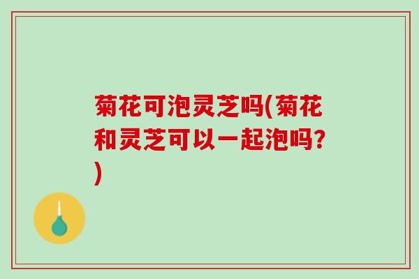 菊花可泡灵芝吗(菊花和灵芝可以一起泡吗?) 菊花可泡灵芝吗(菊花和灵芝可以一起泡吗?)