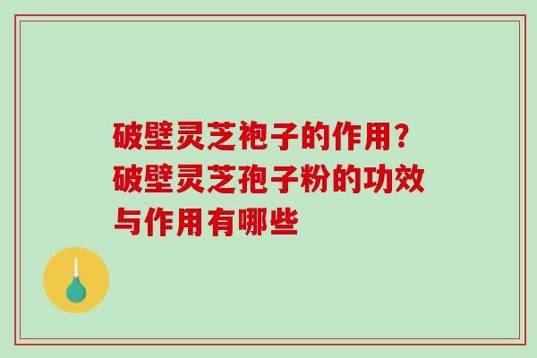 破壁灵芝袍子的作用？破壁灵芝孢子粉的功效与作用有哪些