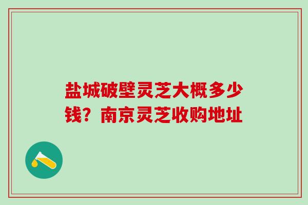 盐城破壁灵芝大概多少钱？南京灵芝收购地址