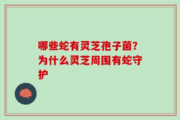 哪些蛇有灵芝孢子菌？为什么灵芝周围有蛇守护