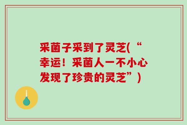 采菌子采到了灵芝(“幸运!采菌人一不小心发现了珍贵的灵芝”) 采菌子采到了灵芝(“幸运!采菌人一不小心发现了珍贵的灵芝”)