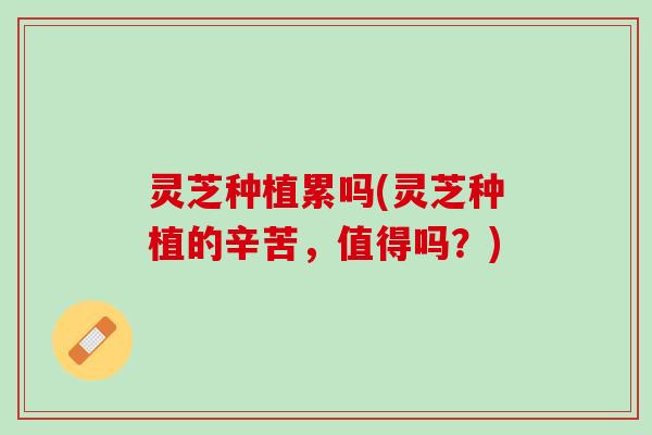 灵芝种植累吗(灵芝种植的辛苦，值得吗？)
