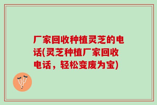 厂家回收种植灵芝的电话(灵芝种植厂家回收电话，轻松变废为宝)