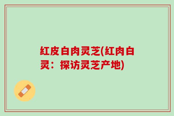红皮白肉灵芝(红肉白灵：探访灵芝产地)