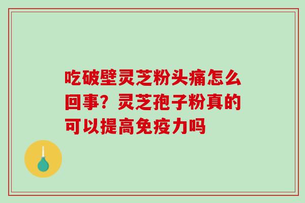 吃破壁灵芝粉头痛怎么回事?灵芝孢子粉真的可以提高免疫力吗 吃破壁灵芝粉头痛怎么回事?灵芝孢子粉真的可以提高免疫力吗