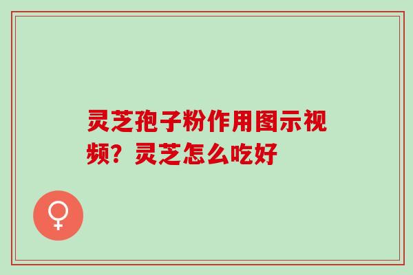 灵芝孢子粉作用图示视频？灵芝怎么吃好