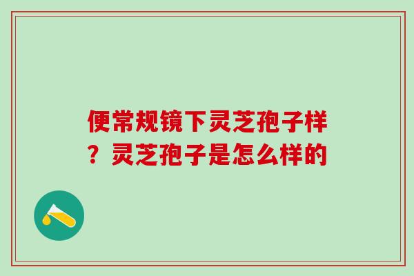 便常规镜下灵芝孢子样？灵芝孢子是怎么样的