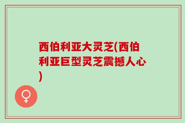 西伯利亚大灵芝(西伯利亚巨型灵芝震撼人心) 西伯利亚大灵芝(西伯利亚巨型灵芝震撼人心)