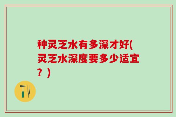 种灵芝水有多深才好(灵芝水深度要多少适宜？)