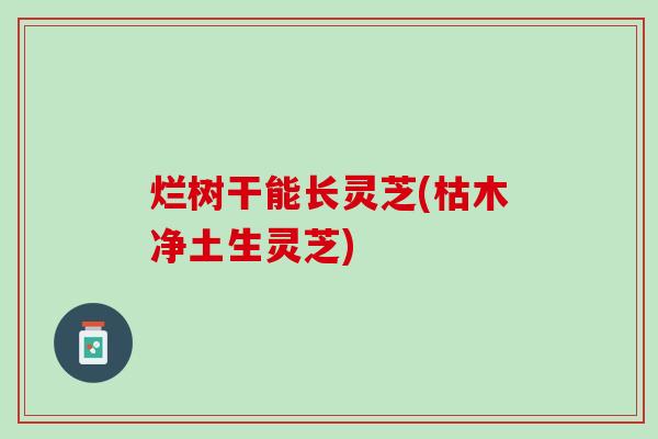 烂树干能长灵芝(枯木净土生灵芝)