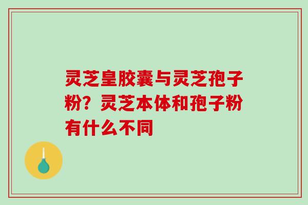 灵芝皇胶囊与灵芝孢子粉?灵芝本体和孢子粉有什么不同 灵芝皇胶囊与灵芝孢子粉?灵芝本体和孢子粉有什么不同
