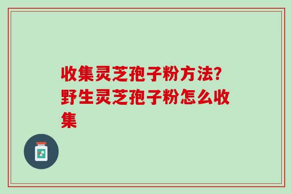收集灵芝孢子粉方法？野生灵芝孢子粉怎么收集