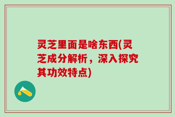 灵芝里面是啥东西(灵芝成分解析，深入探究其功效特点)