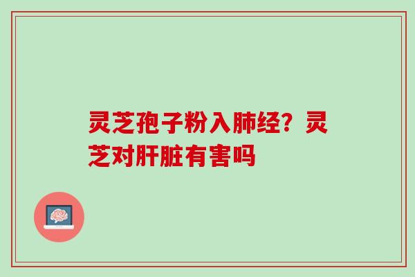 灵芝孢子粉入肺经？灵芝对肝脏有害吗