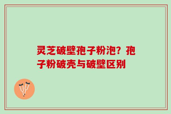 灵芝破壁孢子粉泡？孢子粉破壳与破壁区别