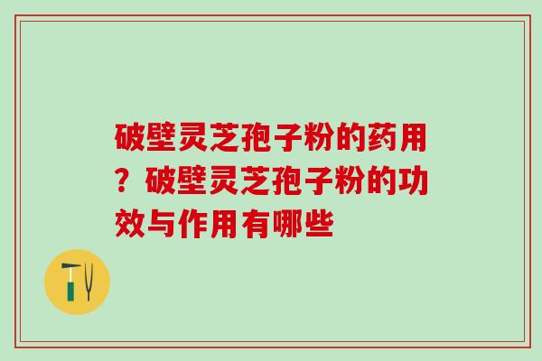 破壁灵芝孢子粉的药用？破壁灵芝孢子粉的功效与作用有哪些