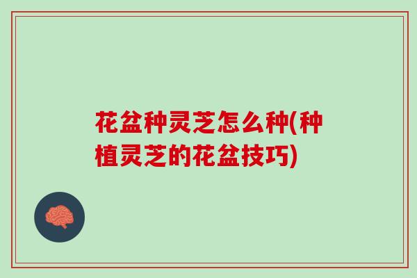 花盆种灵芝怎么种(种植灵芝的花盆技巧)