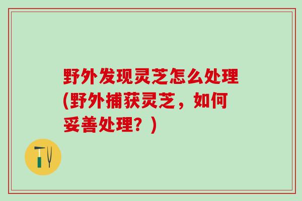 野外发现灵芝怎么处理(野外捕获灵芝，如何妥善处理？)