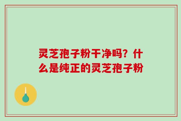 灵芝孢子粉干净吗？什么是纯正的灵芝孢子粉