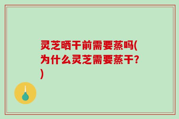 灵芝晒干前需要蒸吗(为什么灵芝需要蒸干？)