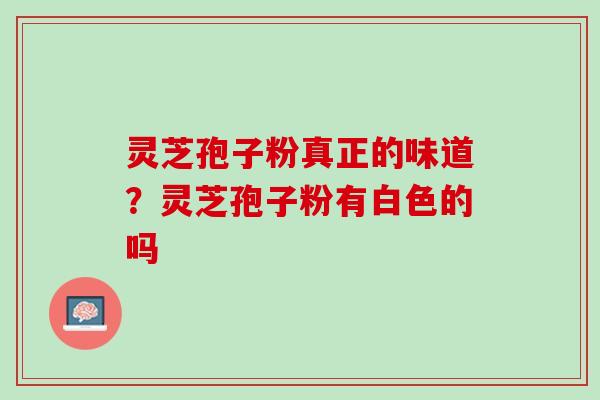 灵芝孢子粉真正的味道？灵芝孢子粉有白色的吗