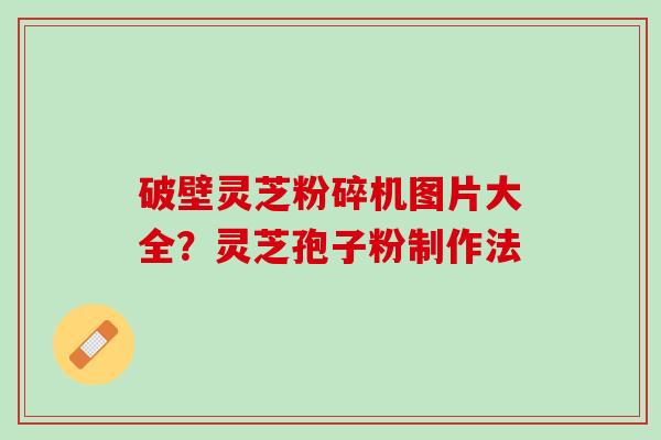 破壁灵芝粉碎机图片大全？灵芝孢子粉制作法