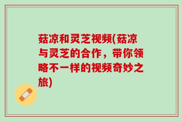 菇凉和灵芝视频(菇凉与灵芝的合作，带你领略不一样的视频奇妙之旅)