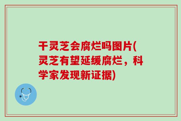干灵芝会腐烂吗图片(灵芝有望延缓腐烂,科学家发现新证据) 干灵芝会腐烂吗图片(灵芝有望延缓腐烂,科学家发现新证据)