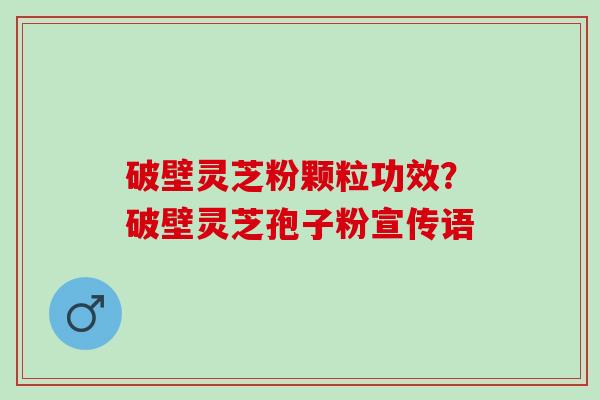 破壁灵芝粉颗粒功效？破壁灵芝孢子粉宣传语