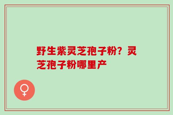 野生紫灵芝孢子粉？灵芝孢子粉哪里产
